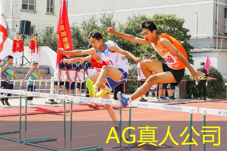 AG真人：火影模仿哪个3d游戏好