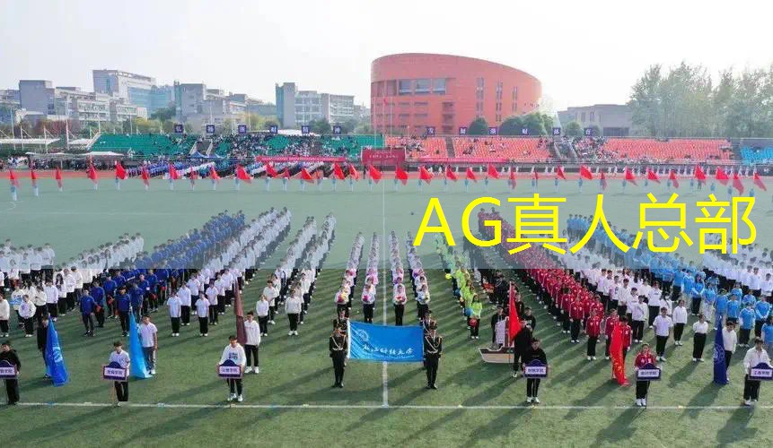 ag真人平台官方：3d小岛小人游戏怎么玩