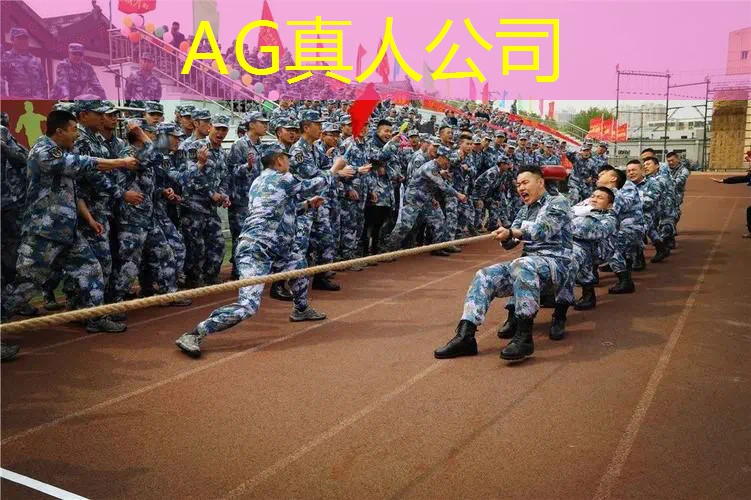 游戏封面是原画还是原画