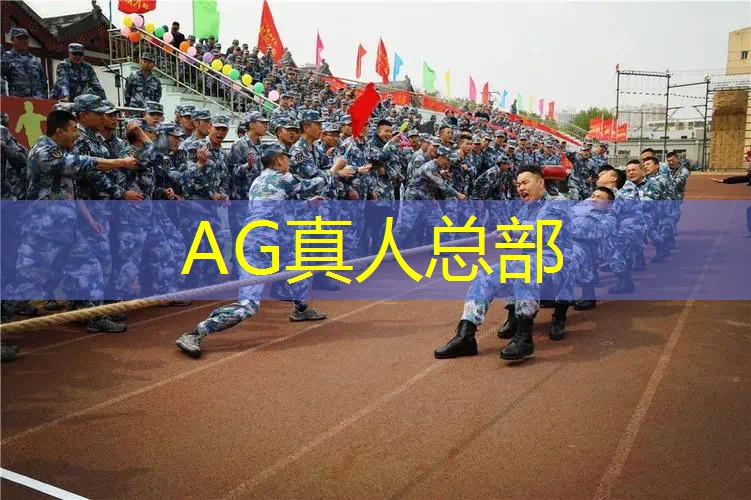 ag真人平台官方：日本3d游戏画质设置在哪