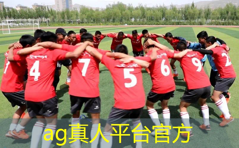 ag真人官方网：游戏原画毕设画册模板怎么做