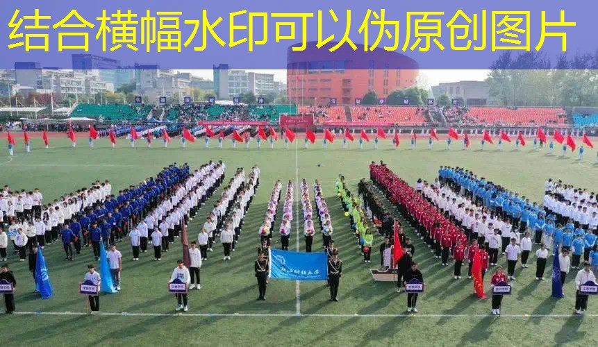 新闻图片