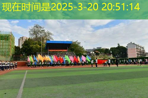 手机玩宝可梦3d游戏对战