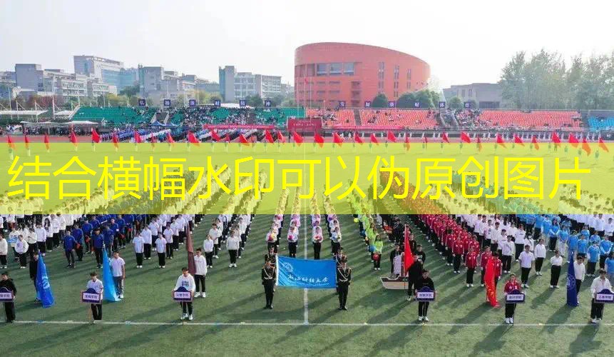 两只猴子小程序游戏怎么玩
