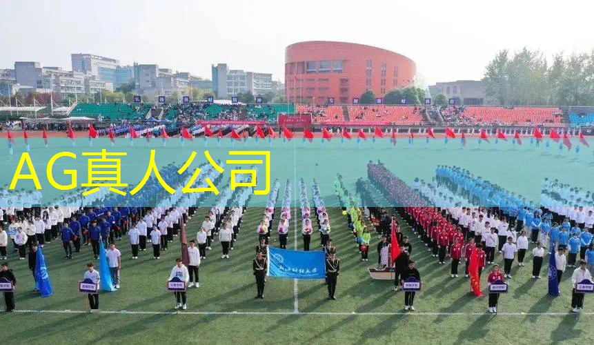 超3d的驾驶游戏叫什么