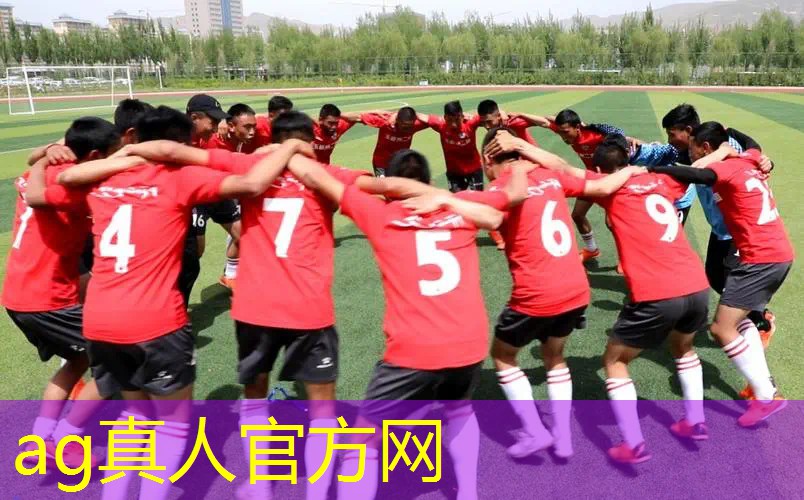 一个3d涂色游戏叫什么